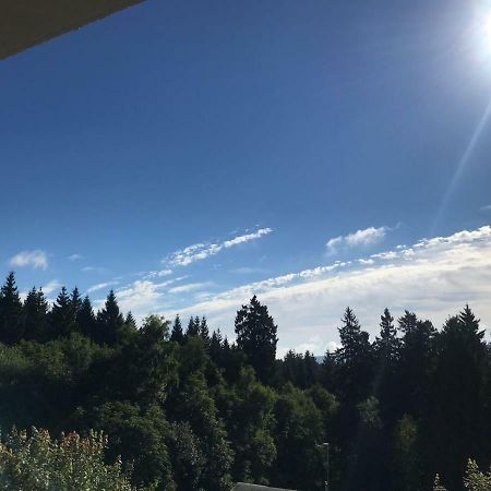 Hahnenklee Ferienpark 1-411 戈斯拉尔 外观 照片