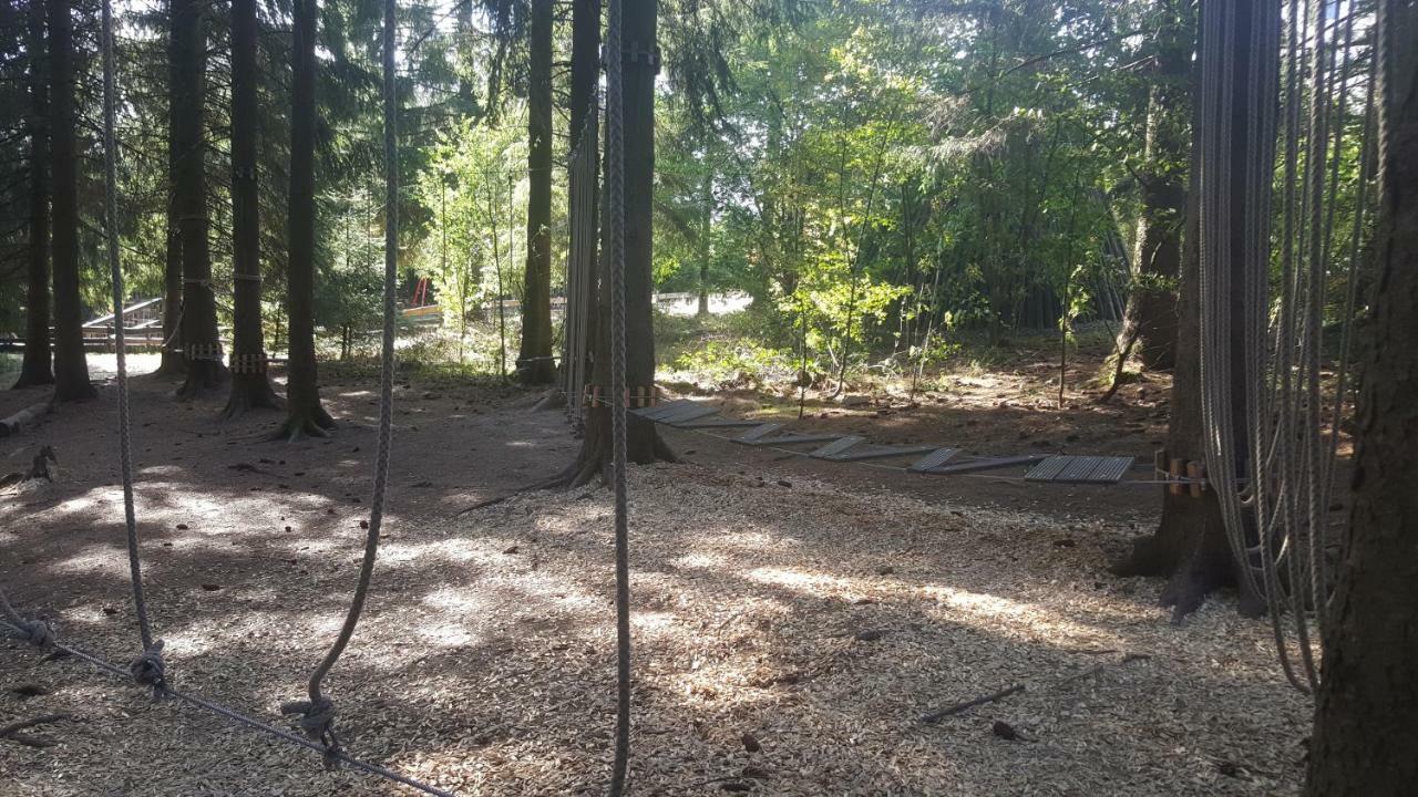 Hahnenklee Ferienpark 1-411 戈斯拉尔 外观 照片